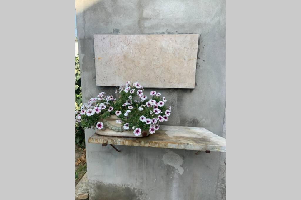 Apartmán Antica Casa Nel Borgo Pietrasanta Exteriér fotografie