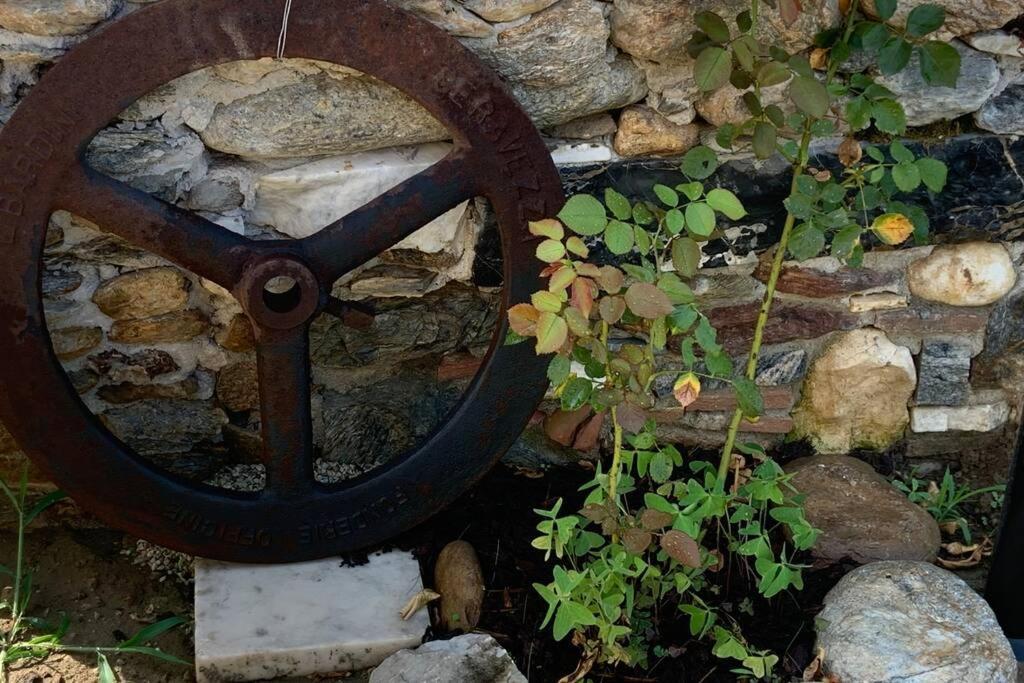 Apartmán Antica Casa Nel Borgo Pietrasanta Exteriér fotografie